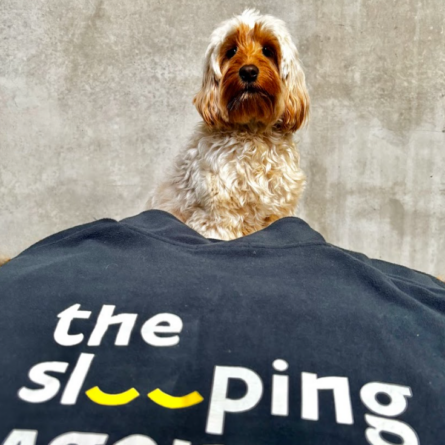 256243ee-faa9-4ab9-85de-afa0ed799abf